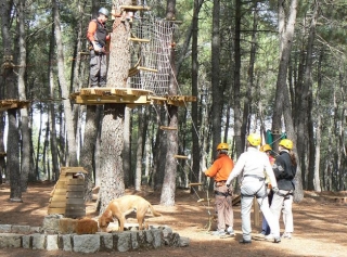 grupo de amigos en un parque de aventuras